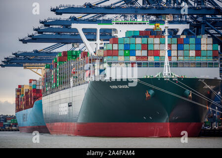 Handel - Internationaler Handel - Container entladen aus der immer Grad Evegreen Shipping Container schiff am Hafen Felixstowe, Großbritannien Stockfoto