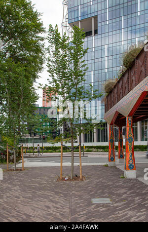 Eine neu gepflanzte Ulme (Ulmus' lutece") bei Nine Elms, Vauxhall, London SW8 Stockfoto