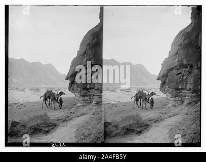 Auf den Sinai über die Wüste. Wady Mokattab. Stockfoto