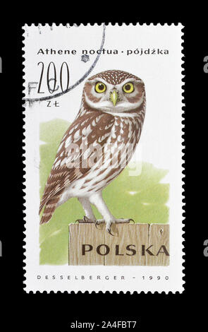 Storniert Briefmarke von Polen gedruckt, zeigt, dass kleine Eule, ca. 1990. Stockfoto