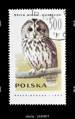 Storniert Briefmarke von Polen gedruckt, das zeigt, Waldkauz, circa 1990. Stockfoto