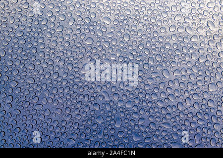 Blau Wassertropfen auf Glas Textur Hintergrund Stockfoto