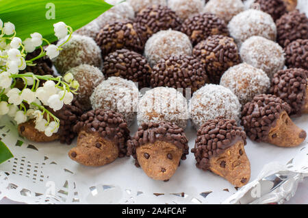 Platte von Mini Hedgehog - Schokolade Gebäck. Auf der Platte ist auch klassische rum Kugeln. Das Foto ist mit weißen Blumen Lilie des Tales eingerichtet. Stockfoto