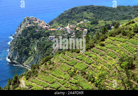 Petit Village côtier de Corniglia et la Côte Ligure, dans les Cinque Terre. Stockfoto