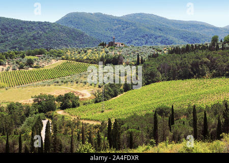 Hügeln, Weinbergen, Olivenbäumen und Zypressen im Chianti. Stockfoto