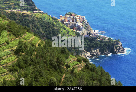 Kleines Dorf an der Küste von Manarola in der Cinque Terre. Stockfoto