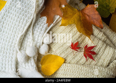 Mode Flach von zwei bunten warm, Flusen, Wolle/Wolle, gemütliche Pullis/Jumper auf ein HERBSTLICHES/Herbst Hintergrund der gelben und roten Laub Stockfoto