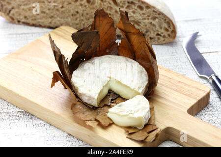 Banon a la Feuille, französischer Ziegenkäse in Kastanien Blätter gewickelt ist Stockfoto