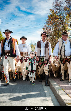 SZCZAWNICA, Polen - Oktober 12, 2019: Traditionelle Karpatische Hirten, die Schafe von Beweidung in den Bergen zu den Dörfern für den Winter. Feiern Tr Stockfoto