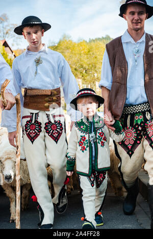 SZCZAWNICA, Polen - Oktober 12, 2019: Traditionelle Karpatische Hirten, die Schafe von Beweidung in den Bergen zu den Dörfern für den Winter. Feiern Tr Stockfoto