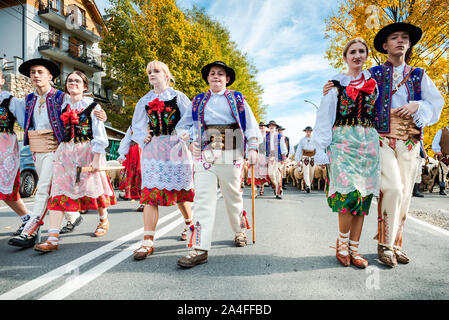 SZCZAWNICA, Polen - Oktober 12, 2019: Traditionelle Karpatische Hirten, die Schafe von Beweidung in den Bergen zu den Dörfern für den Winter. Feiern Tr Stockfoto