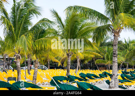 Mahagoni Bucht Kreuzfahrt Schiff aufhalten, Roatan, Honduras Stockfoto