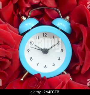 Kleinen Niedlichen blauen Wecker mit roten Rosen Köpfe umgeben. Romantische Szene und der Zeit für die Liebe Konzept Stockfoto
