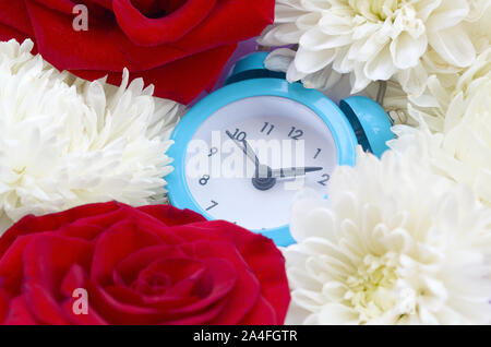 Kleinen Niedlichen blauen Wecker mit roten Rosen und Chrysanthemen Köpfe umgeben. Romantische Szene und der Zeit für die Liebe Konzept Stockfoto