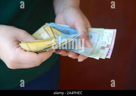 Weibliche Hände zählt grosse Menge der ukrainischen Geld während der vergütungszeitraum in der Ukraine. Reiches leben Konzept Stockfoto