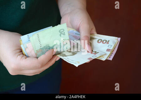 Weibliche Hände zählt grosse Menge der ukrainischen Geld während der vergütungszeitraum in der Ukraine. Reiches leben Konzept Stockfoto