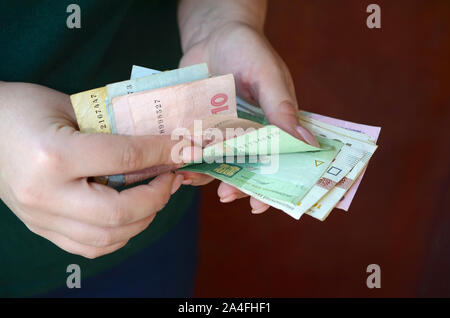 Weibliche Hände zählt grosse Menge der ukrainischen Geld während der vergütungszeitraum in der Ukraine. Reiches leben Konzept Stockfoto