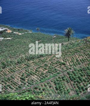 CULTIVO DE TERRAZAS O BANCALES. Lage: an der Außenseite. Agulo. Gomera. Spanien. Stockfoto