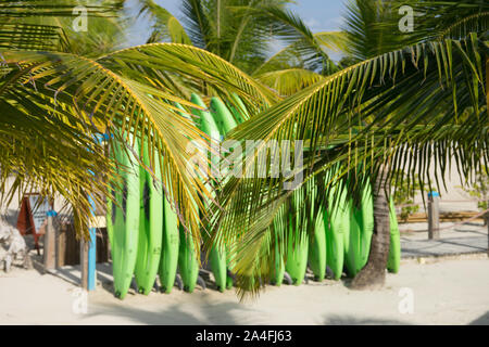 Mahagoni Bucht Kreuzfahrt Schiff aufhalten, Roatan, Honduras Stockfoto