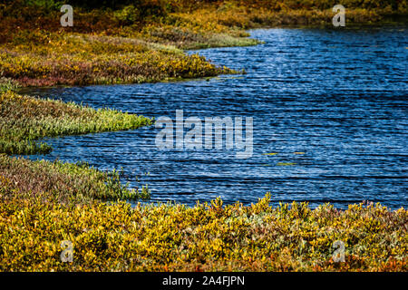 Miscou Island interpretierende Moor Boardwalk Miscou, New Brunswick, CA Stockfoto