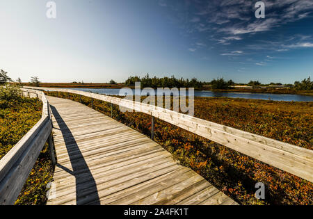 Miscou Island interpretierende Moor Boardwalk Miscou, New Brunswick, CA Stockfoto