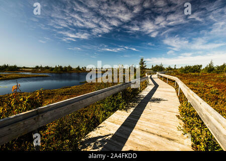 Miscou Island interpretierende Moor Boardwalk Miscou, New Brunswick, CA Stockfoto