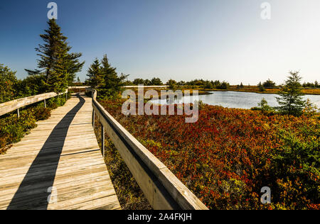 Miscou Island interpretierende Moor Boardwalk Miscou, New Brunswick, CA Stockfoto