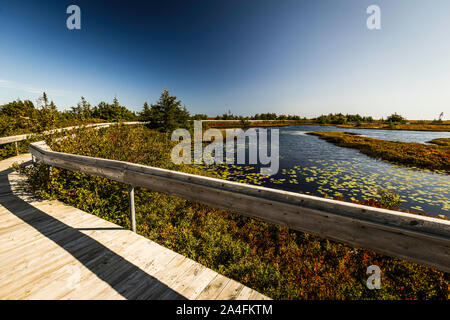 Miscou Island interpretierende Moor Boardwalk Miscou, New Brunswick, CA Stockfoto