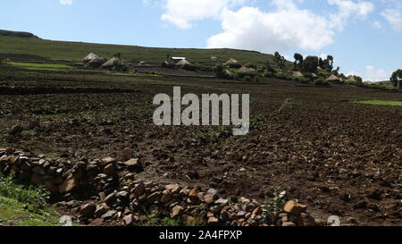 Westlichen äthiopischen Hochland/Äthiopien - 20. April 2019: traditionellen strohgedeckten afrikanischen Hütten neben landwirtschaftlichen Feldern Stockfoto