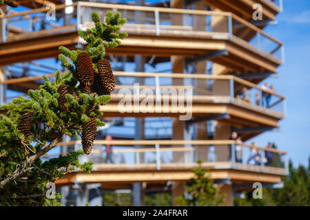 Forest Canopy Tower und Gehweg, Fußweg über Baumkronen, Outdoor Abenteuer auf Rogla, Slowenien Stockfoto