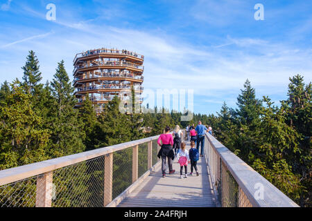 Forest Canopy Tower und Gehweg, Fußweg über Baumkronen, Outdoor Abenteuer auf Rogla, Slowenien Stockfoto