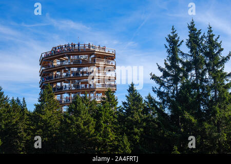 Forest Canopy Tower und Gehweg, Fußweg über Baumkronen, Outdoor Abenteuer auf Rogla, Slowenien Stockfoto