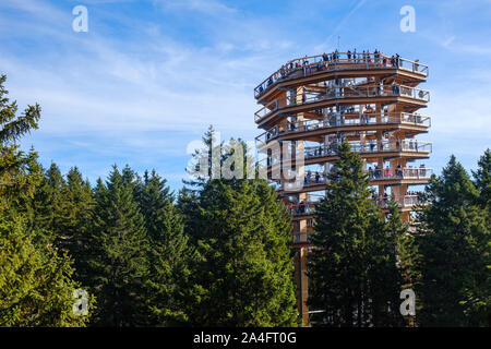 Forest Canopy Tower und Gehweg, Fußweg über Baumkronen, Outdoor Abenteuer auf Rogla, Slowenien Stockfoto