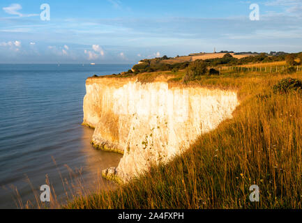 Die weißen Klippen von Dover. Am frühen Morgen Licht auf den Klippen nr Kingsdown, Kent. Stockfoto