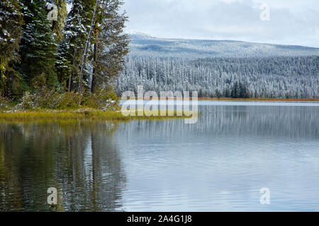 Gold-See, Willamette National Forest, Oregon Stockfoto