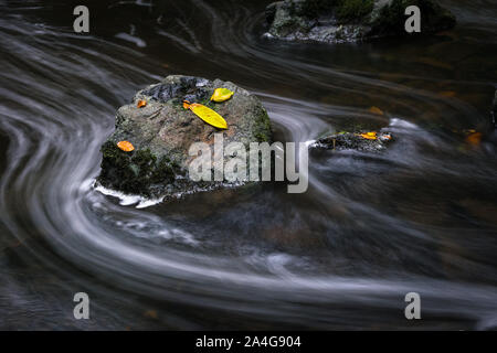 Dies ist eine lange Belichtung Foto von einem Stein mit Blätter im Herbst in einem schnellen flowwing Stream. Die lange Exposition verwischt die Bewegung der Wasser Stockfoto