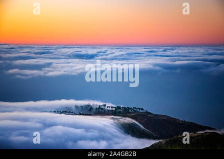 Natur Hintergrund mit Sonnenaufgang über den Wolken. Es liegt auf dem Gipfel des Pico do Arieiro Berg, Madeira, Portugal. Die Bäume sind eingehüllt in die Stockfoto