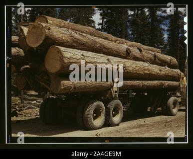 LKW-Ladung Gelbkiefer, Edward Hines Lumber Co. Operationen im Malheur National Forest, Grant County, Oregon Stockfoto