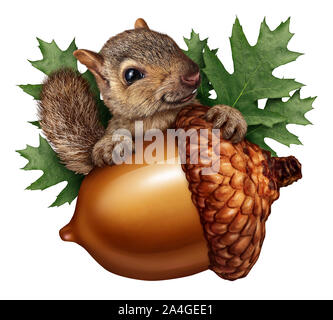 Niedliche Eichhörnchen acorn isoliert Holding ein riesiger Baum der Mutter wie eine lustige Herbst Symbol mit Eichenlaub und haarige Tier speichern von Muttern. Stockfoto