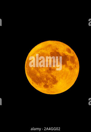 Hälfte-blut Donner Mond oder Hunter's Moon Over Rocky Mountains, Salida, Colorado, USA Stockfoto