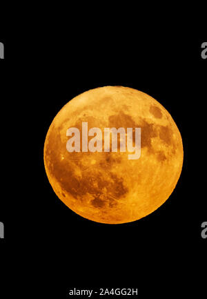 Hälfte-blut Donner Mond oder Hunter's Moon Over Rocky Mountains, Salida, Colorado, USA Stockfoto