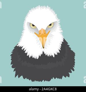 Das Porträt einer weißkopfseeadler. Sie sehen ihn von vorne und er ist auf der Suche wütend. Stock Vektor
