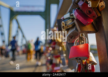 Nahaufnahme auf Gruppe von Master Keys Vorhängeschlösser auf Kurve eiserne Geländer auf fußgängerbrücke Iron Bridge, Eiserner Steg, Main Stockfoto