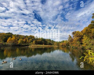 Teich und fallen in folliage Hedden County Park, Dover, New Jersey Stockfoto