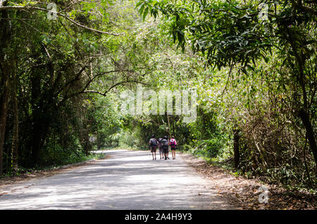 Arrecifes Trail im Tayrona Nationalpark, einem geschützten Bereich in Magdalena Abteilung auf der karibischen Seite von Kolumbien entfernt Stockfoto