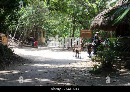 Arrecifes Trail im Tayrona Nationalpark, einem geschützten Bereich in Magdalena Abteilung auf der karibischen Seite von Kolumbien entfernt Stockfoto