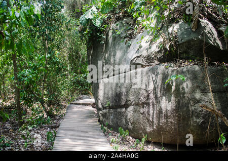 Typische Trail im Tayrona Nationalpark Natur in Kolumbien Stockfoto