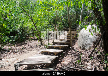 Arrecifes Trail im Tayrona Nationalpark, einem geschützten Bereich in Magdalena Abteilung auf der karibischen Seite von Kolumbien entfernt Stockfoto