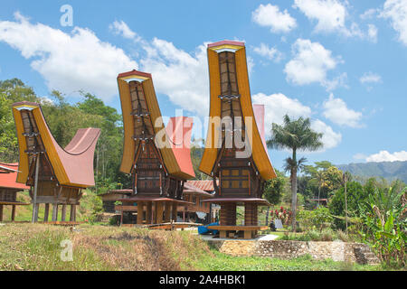 Traditionelle Alang Reis Scheune, Rantepao, Tana Toraja, South Sulawesi, Indonesien. Alang Häuser haben eine Unterscheidung Boot - geprägt. Stockfoto