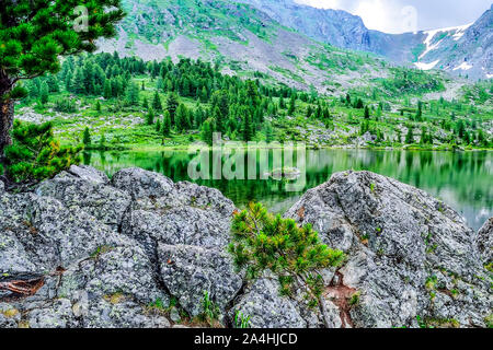 Eine aus sieben sauberste Berg Karakol Seen, im Tal, am Fuße der Bagatash Pass, Altai Gebirge, Russland. Nadelwälder ein Stockfoto